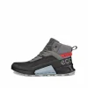 ECCO Boots | Gore-tex-BIOM 2.1 X MOUNTAIN M