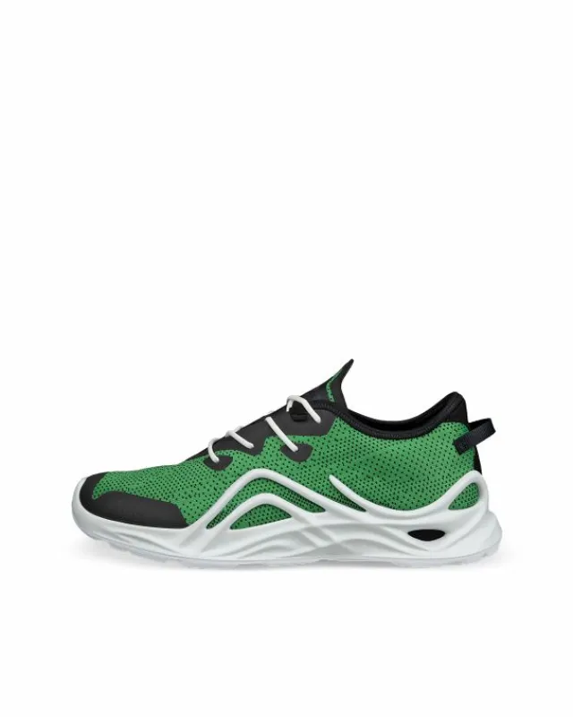ECCO Casual | Sneakers-BIOM INFINITE M Green