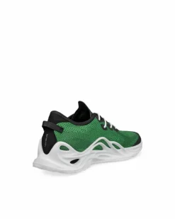 ECCO Casual | Sneakers-BIOM INFINITE M Green