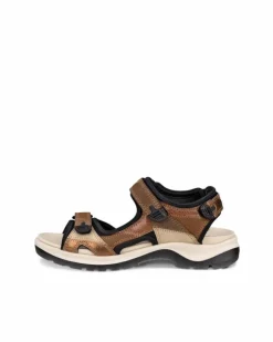 ECCO Outdoor | Sandals-OFFROAD Brown