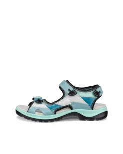 ECCO Outdoor | Sandals-OFFROAD