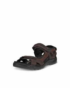 ECCO Outdoor | Sandals-OFFROAD Brown