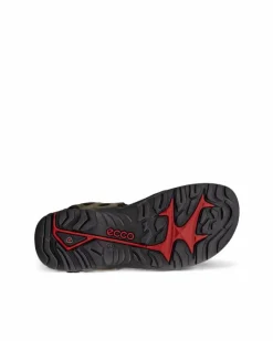 ECCO Outdoor | Sandals-OFFROAD Green