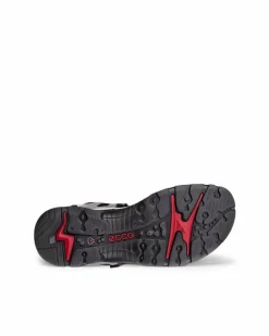 ECCO Outdoor | Sandals-OFFROAD Grey