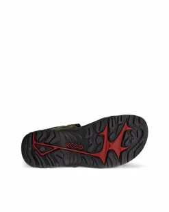ECCO Outdoor | Sandals-OFFROAD Green