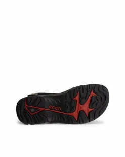 ECCO Outdoor | Sandals-OFFROAD Black