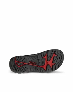 ECCO Outdoor | Sandals-OFFROAD Black