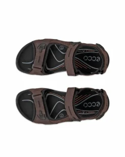 ECCO Outdoor | Sandals-OFFROAD Brown