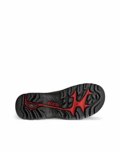 ECCO Outdoor | Outdoor-OFFROAD M Brown