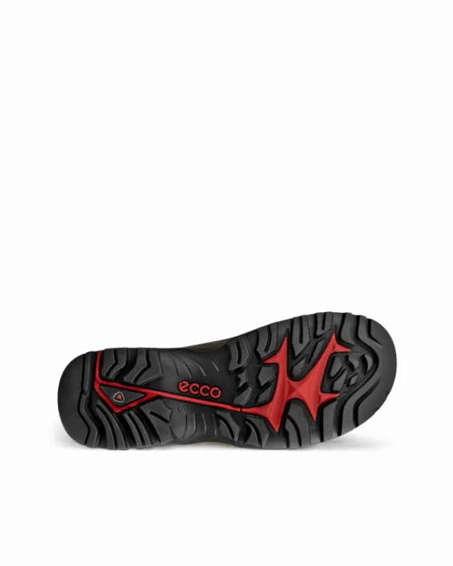 ECCO Outdoor | Outdoor-OFFROAD M Brown
