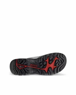 ECCO Outdoor | Outdoor-OFFROAD M Grey