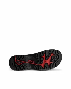 ECCO Outdoor | Outdoor-OFFROAD M Black
