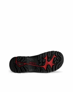 ECCO Boots | Outdoor-OFFROAD M Black