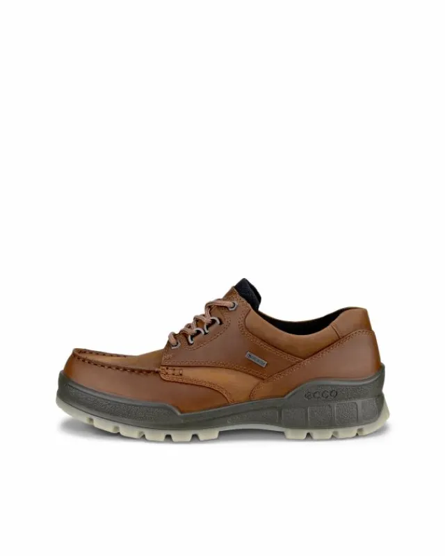 ECCO Gore-tex | Casual-TRACK 25 M Brown