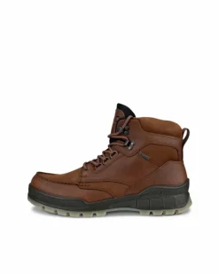 ECCO Boots | Gore-tex-TRACK 25 M Brown