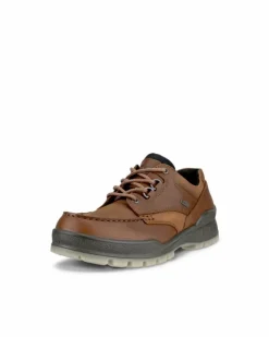 ECCO Gore-tex | Casual-TRACK 25 M Brown