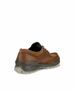 ECCO Gore-tex | Casual-TRACK 25 M Brown