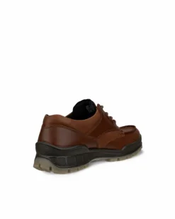 ECCO Gore-tex | Casual-TRACK 25 M Brown
