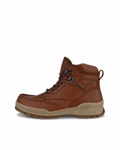 ECCO Casual | Gore-tex-TRACK 25 W Brown