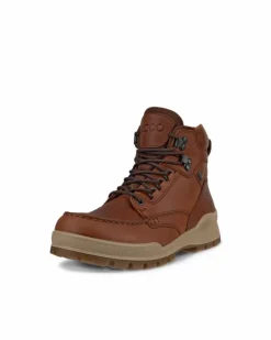 ECCO Casual | Gore-tex-TRACK 25 W Brown